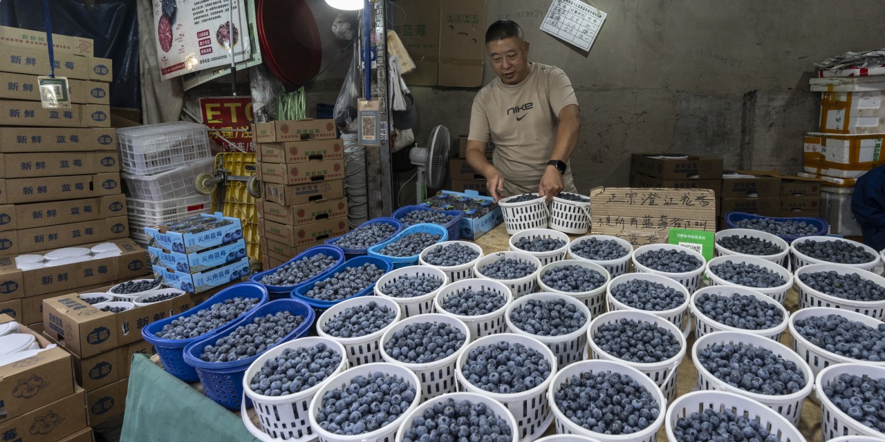 Driscoll’s Gave <i>China</i> Its Blueberries—Then <i>China</i> Swiped the Secret to Growing Them